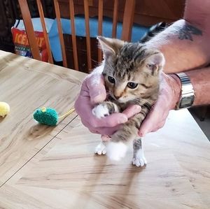 Meet your Posher, Kathy